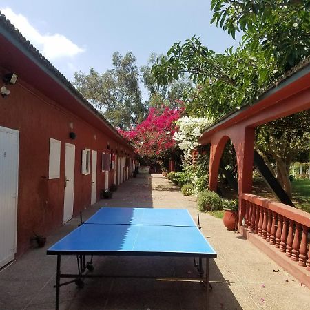 Dar Said Ben Hajj Ferme Hippique Chtouka B&B 외부 사진